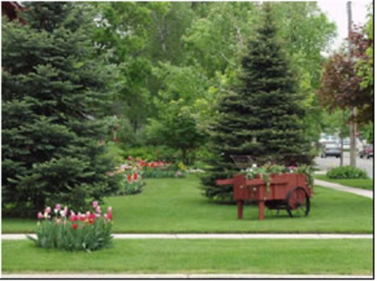 Product picture Dream Lawn