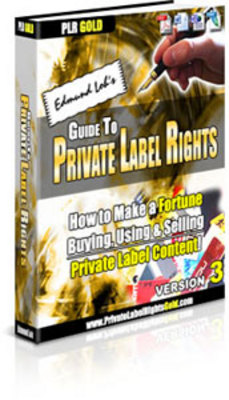 Product picture Guide to Private Label Rights